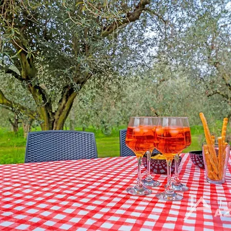 I Roccoli- Zwischen Olivenbaeumen Mit Priva By Interhome *