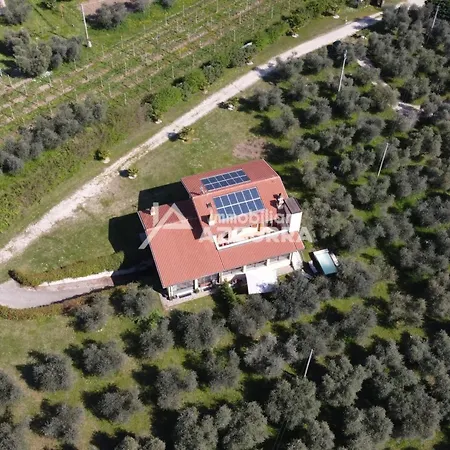 Nyaraló I Roccoli- Zwischen Olivenbaeumen Mit Priva By Interhome Bardolino